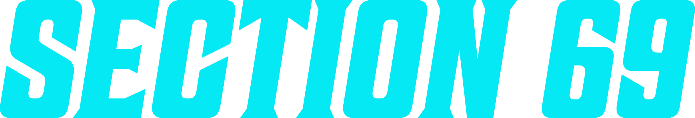Section 69 Logo